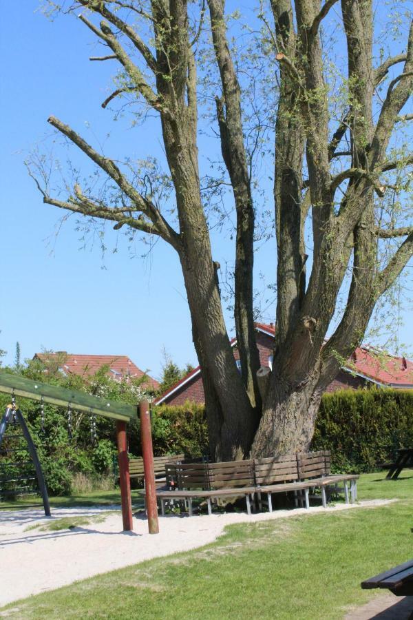 Ferienwohnung Muschel Werdum Exterior foto